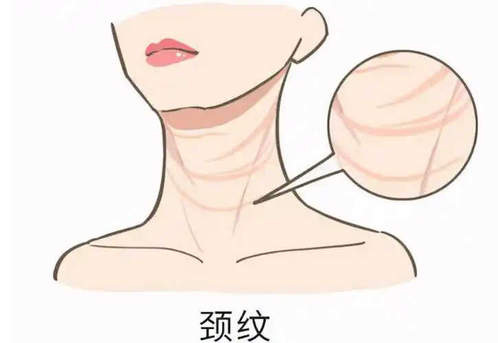 颈纹克星 2025 终极指南：嗨体注射 VS 黄金微针，多伦多美蒂芳华数据对比